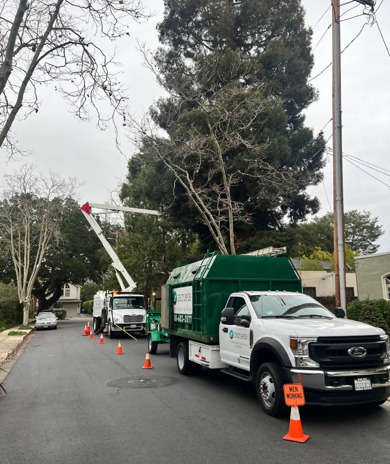 tree trimmers san jose ca